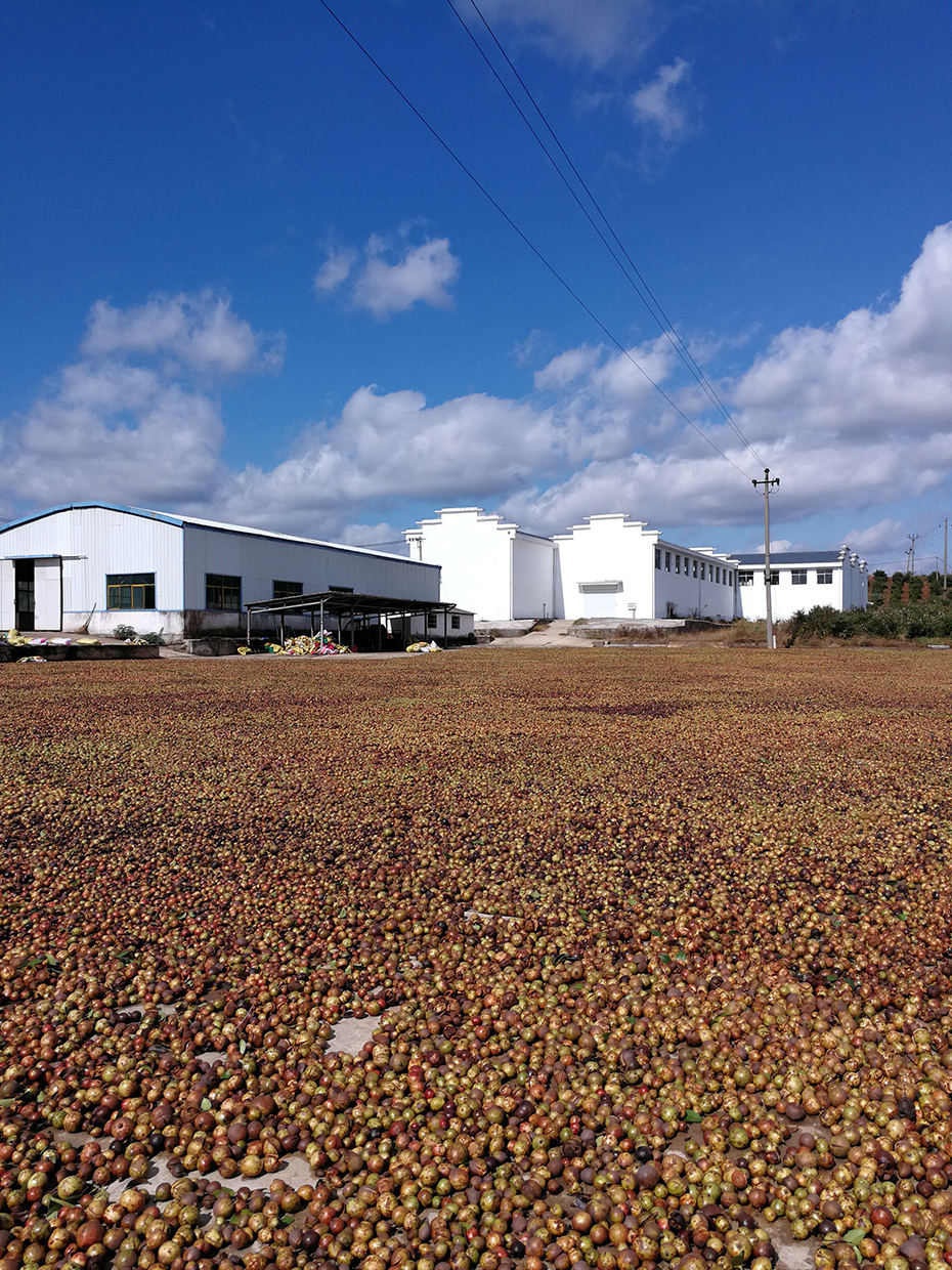 產品展示